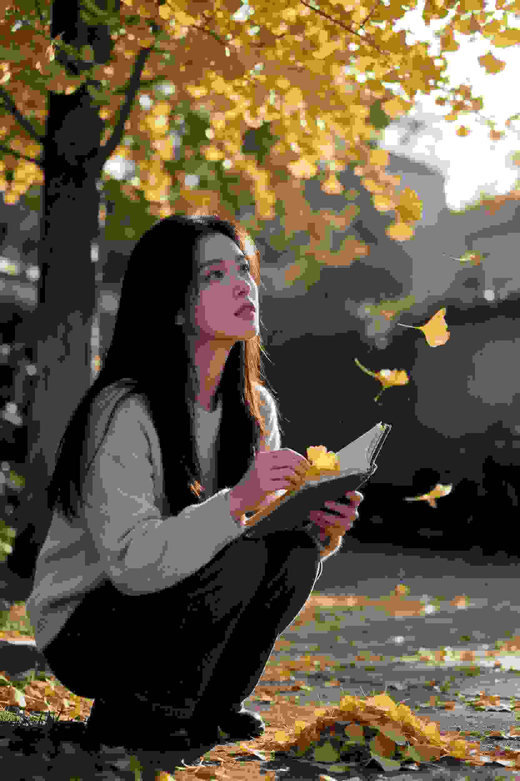 校花的秘密