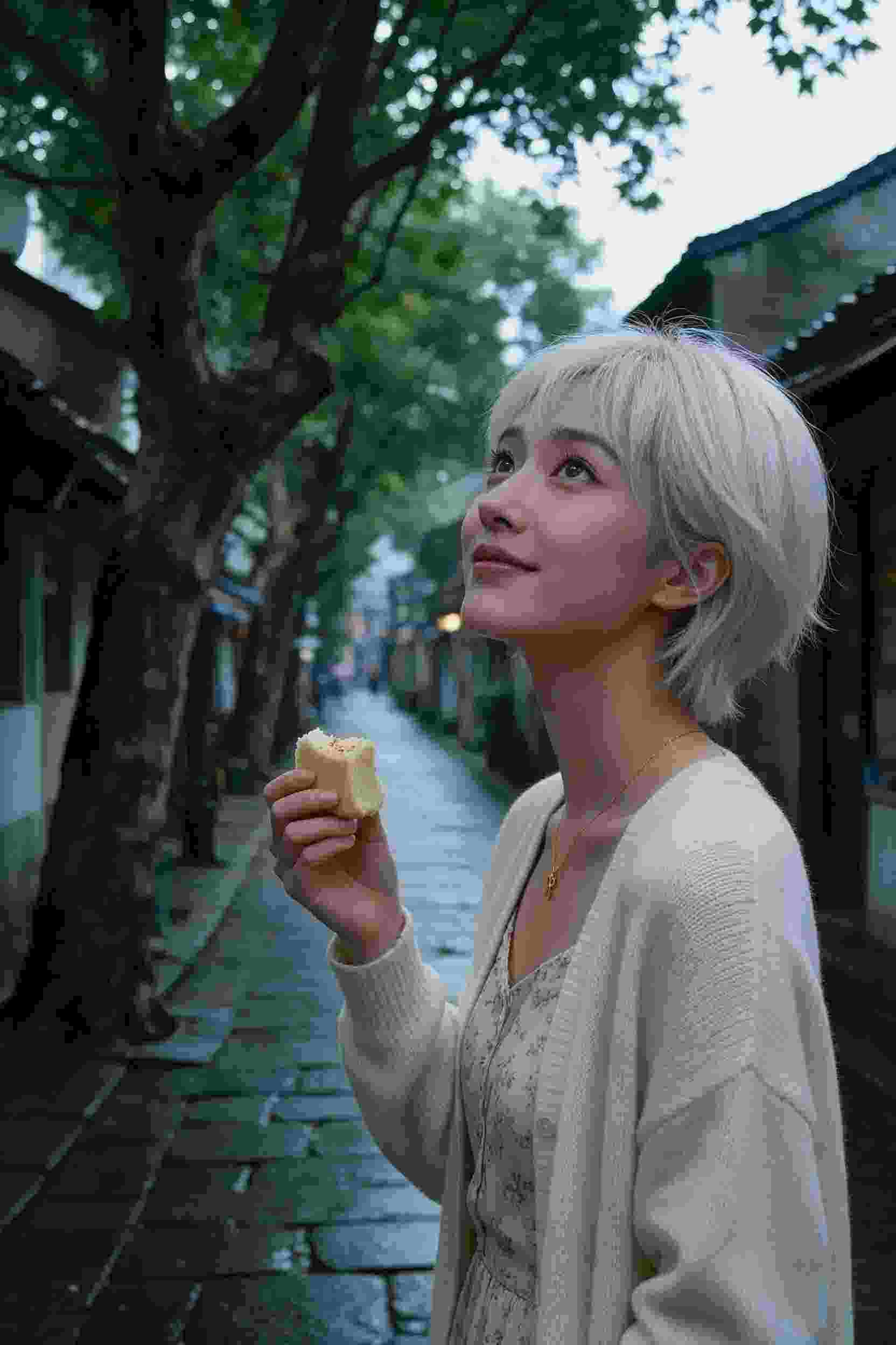 龙之守护者
